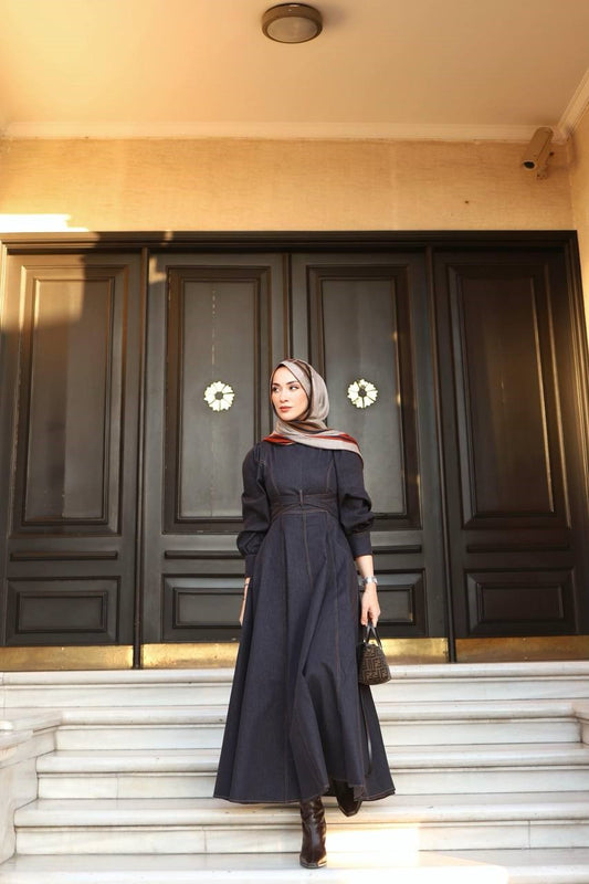 Serin Denim Dress